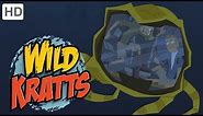 Wild Kratts - Swimming with Marine Mammals