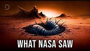 You Won’t Believe What NASA Found on Mars