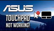 Asus Touchpad Not Working Windows 10/8/7 [2024 Tutorial]