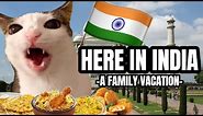 CAT MEMES: HERE IN INDIA PT.2