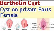 Bumps on private parts female | Bartholin Cyst, how to get rid of a Bartholin cyst quickly | Health