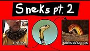 Internet Names for Snakes - Part 2