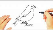 How to draw a Bird | Bird Easy Draw Tutorial