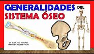 🥇 SISTEMA ÓSEO. -Esquelético-. Tipos de Huesos, clasificacion, función.