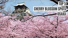 Osaka Top 5 Best Cherry Blossom Spots Japan