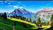 The Majestic Natural Landscapes Of Switzerland | Wild Faces Of Switzerland Marathon