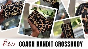What fits⁉️Coach Bandit | Special occasion & date night bag.