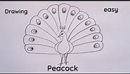 how to draw peacock drawing easy easy step for beginners