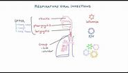 Respiratory Viruses - Clinical Presentations and Diagnosis