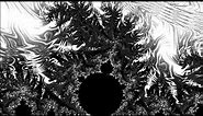 Fractals in Black and White