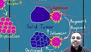 CAR-T Therapy in Case of Solid Tumors (Breast cancer, lung cancer) NEWS**