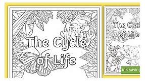 The Cycle of Life Year 4 Integrated Unit Title Colouring Page