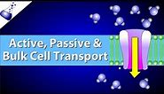Active, Passive, and Bulk Cell Transport