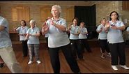 Tai Chi Workshops | Dr Paul Lam | Tai Chi for Energy demonstration at the January 2017 workshop