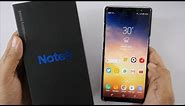 Samsung Galaxy Note 8 Review with Pros & Cons - Playing It Safe!