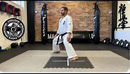 Kyokushin Karate stances
