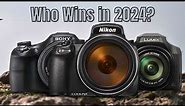 BEST Bridge Cameras - The MONSTER Zoom Bridge Cameras You NEED in Your Bag 2024