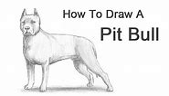 How to Draw a Dog (Pit Bull)