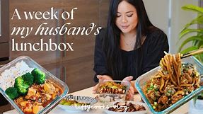 a week of husband’s lunchbox ep. 2 🍱 *easy comforting recipes*