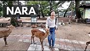 Japan Travel Guide 2023 | 5 Days in Kyoto, Nara, Osaka, Kobe | Day 2 in KYOTO & NARA