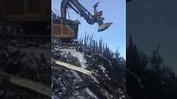Tigercat 830D lx feller buncher winch assist Extreme steep slope