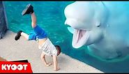 Beluga Whale is AMAZED by Tricks! | Funny Aquarium Videos