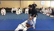 16 Hapkido Throws in 40 seconds