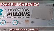 Imaginarium Memory Foam Pillow with Cool-to-The-Touch Costco Item REVIEW