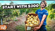 Uncover The 7-Figure Exotic Fruit Farm Business