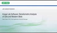 Image Lab Software: Densitometric Analysis of Gels and Western Blots