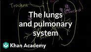 The lungs and pulmonary system | Health & Medicine | Khan Academy