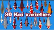 30 Koi Fish varieties, types and characteristics