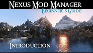 NEXUS MOD MANAGER: Beginner's Guide - Introduction