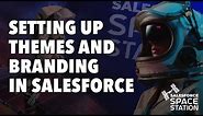 Setting up Themes and Branding in Salesforce