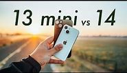 iPhone 13 mini vs iPhone 14! Which is Better at What?