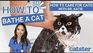 Vet explains how to bathe a cat