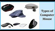 Types of Computer Mouse - Explained (2022)