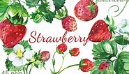 Watercolor Strawberry Clip art