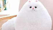 Winsterch Stuffed Animal Plushie Cat Stuffed Animal,Cute Soft Plush Cat Animals,White Stuffed Cat,Birthday Christmas Easter Gifts for Kids,Boys,Girls,Fat Cat Stuffed Toy (White, 10 Inches)
