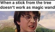 Harry Potter Memes Every Muggle Will Love