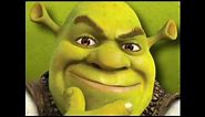 All Star Shrek Highly Distorted