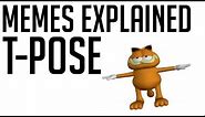 'T-Pose' Memes Explained