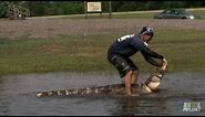 Gators Take Over Flooded Field | Gator Boys