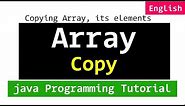 Copying Array and its Elements | Java Programming