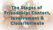 Stages of Friendship | Contact, Involvement & Intimacy