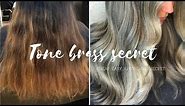 How To Tone Hair (CHEAP EASY SECRET)