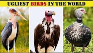 10 Ugliest Birds In The World