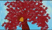 Anim8Nature: Oak Tree (Acorn) Life Cycle
