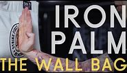 IRON PALM TRAINING | The Wall Bag