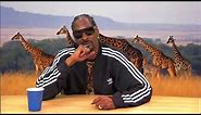 HILARIOUS! Snoop Dogg narrates Animal Planet Documentary